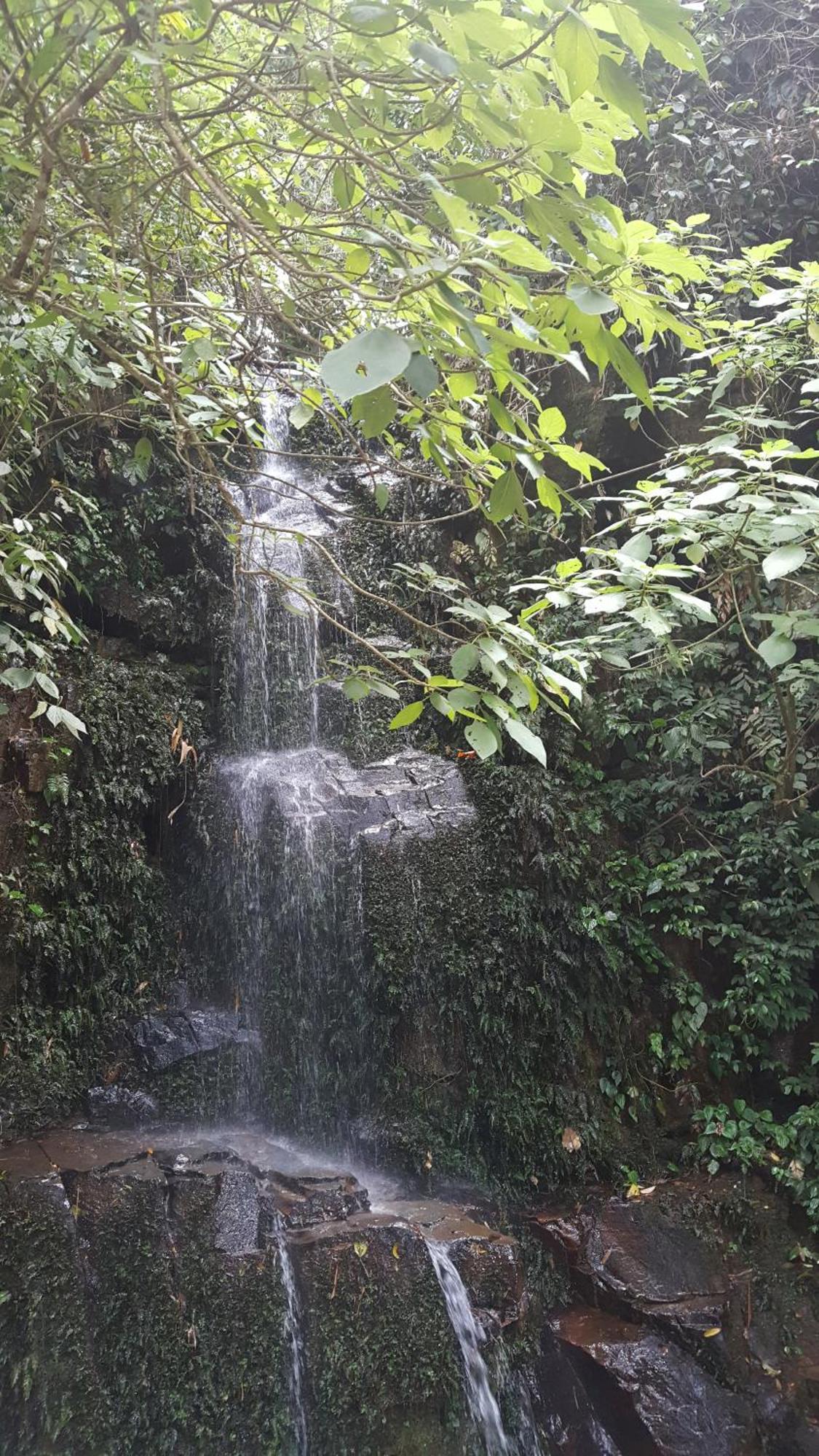 Harmonia Flat Particular Ilhabela Appartement Buitenkant foto